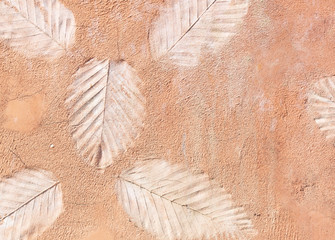 marks of leaf walls