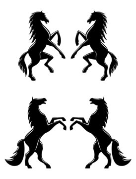 Silhouettes of pairs of prancing horses