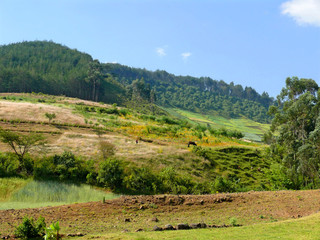 Africa, Ethiopia. Landscape of the African nature. Mountains, va