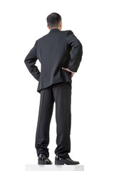 Obraz na płótnie Canvas Rear view of confident businessman standing