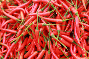 Red chili in the market