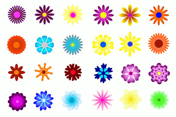 Fototapeta na wymiar flower colorful