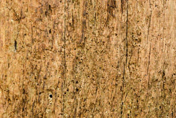 side view of old wood texture