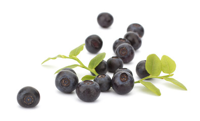 Fresh blueberries isolated on white background