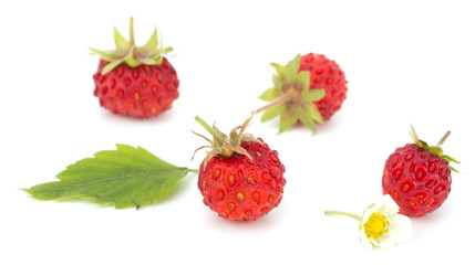 Wild strawberry isolated on white background