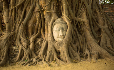 Head of Buddha in Ayutthaya, Thailand.