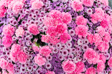 Abstract background of flowers. Close-up.