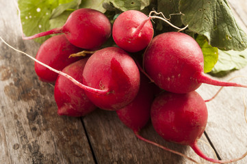 Organic Radishes on wood