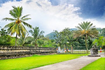 Fototapeta na wymiar Lawn, coconut trees, cloudy day