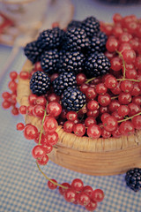 raspberries and redcurrants