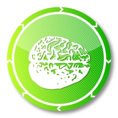 sustainable brain icon