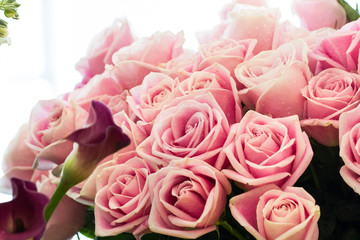 Fototapeta na wymiar Background image of pink roses