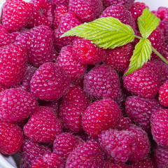 fresh organic raspberries and leaf for background