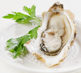 Fresh opened oyster