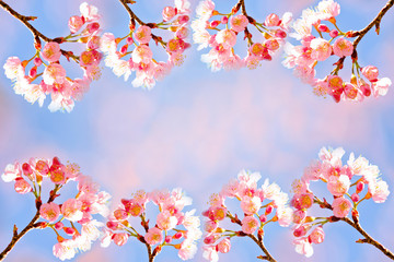 Thai sakura frame
