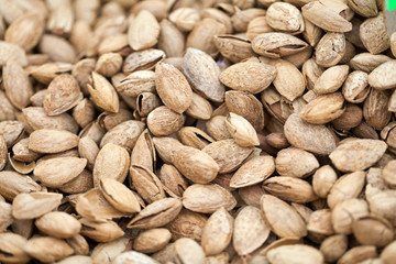Closeup of delicious roasted and salted pistachio