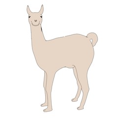 cartoon image of lama animal