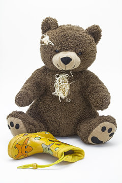 Teddyb&auml;r
