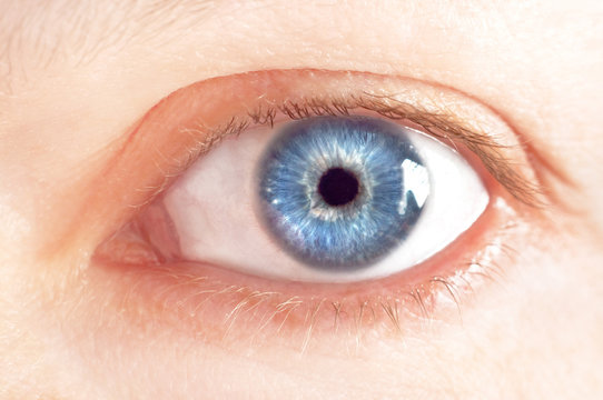 Beutiful female blue eye
