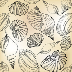 Shell seamless pattern. Sea shells vector background