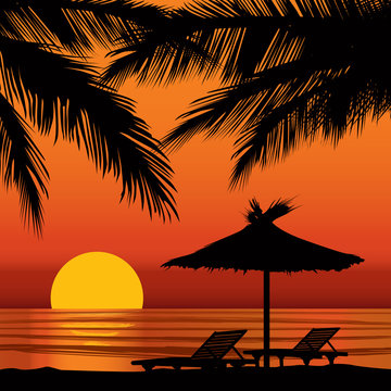 unset view in beach with palm tree. Resort landscape background