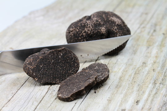 truffes 2014