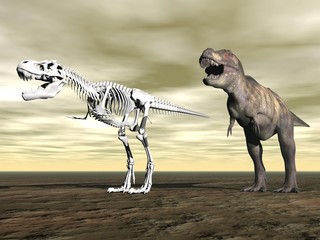 Obraz na płótnie Canvas Tyrannosaurus rex - 3D render