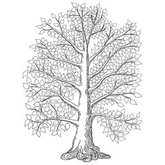 sketch tree calendar. vector
