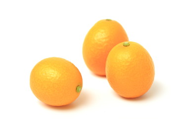 金柑