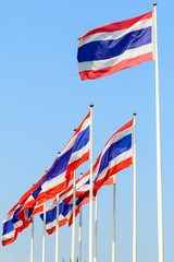 Obraz premium Thai Flag