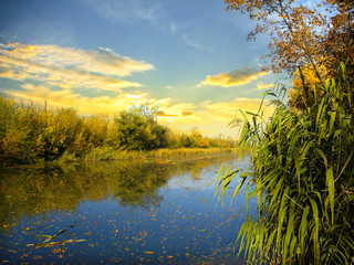 Sunrise over a marsh