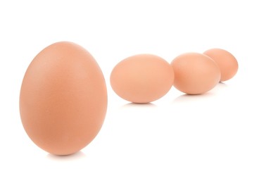 A row of fresh brown eggs on a white background