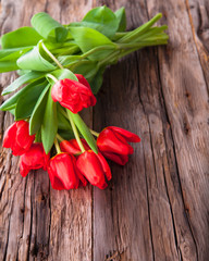 Red tulips on wood background 