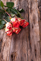 Red beautiful roses on wooden background 