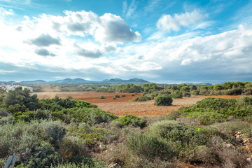 landschaft natur im sommer südeuropa mallorca