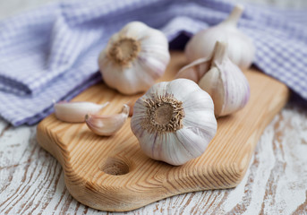 Garlic