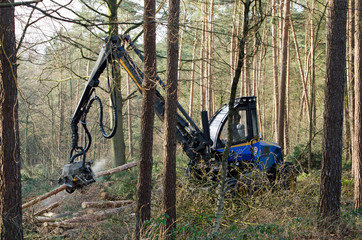 Ein Holzvollernter bei der Arbeit