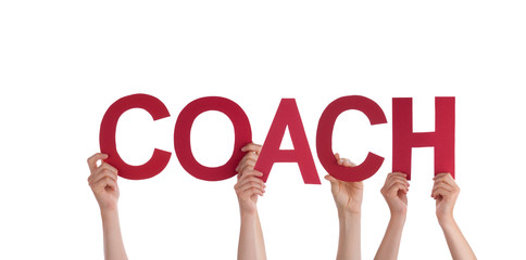 People Holding Coach