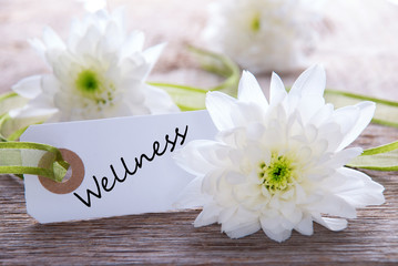 Tag with Wellness