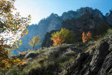 Obraz premium Mountain landscape in Epirus, Greece, in autumn