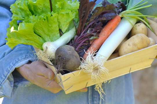 cagette de l&eacute;gumes frais