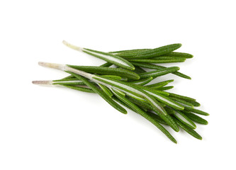 twigs of rosemary isolated on white