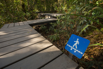 trail signage, walk bridge trail blue signage in forest