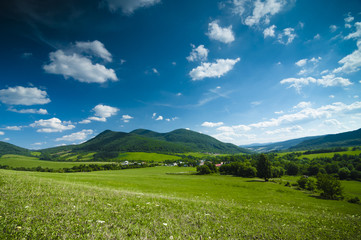 Green meadow and the blue sky