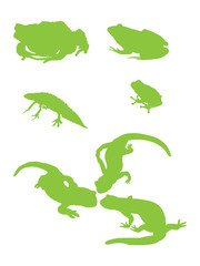 Amphibians