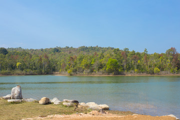 river forest, small river and forest in nature with land shore