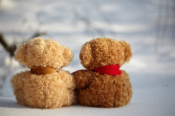 two teddy bears on a snow around each