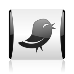 twitter icon