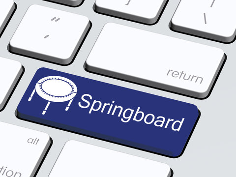 Springboard1