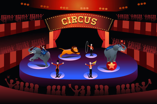 Circus performance